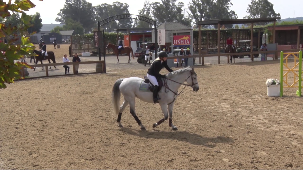 Class 4 - Clever Lady - Casey McDonald