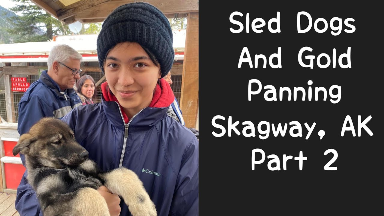 Sled Dogs and Gold Panning - A Day in Skagway Part 2 - Alaska Cruise - Rambling with Phil