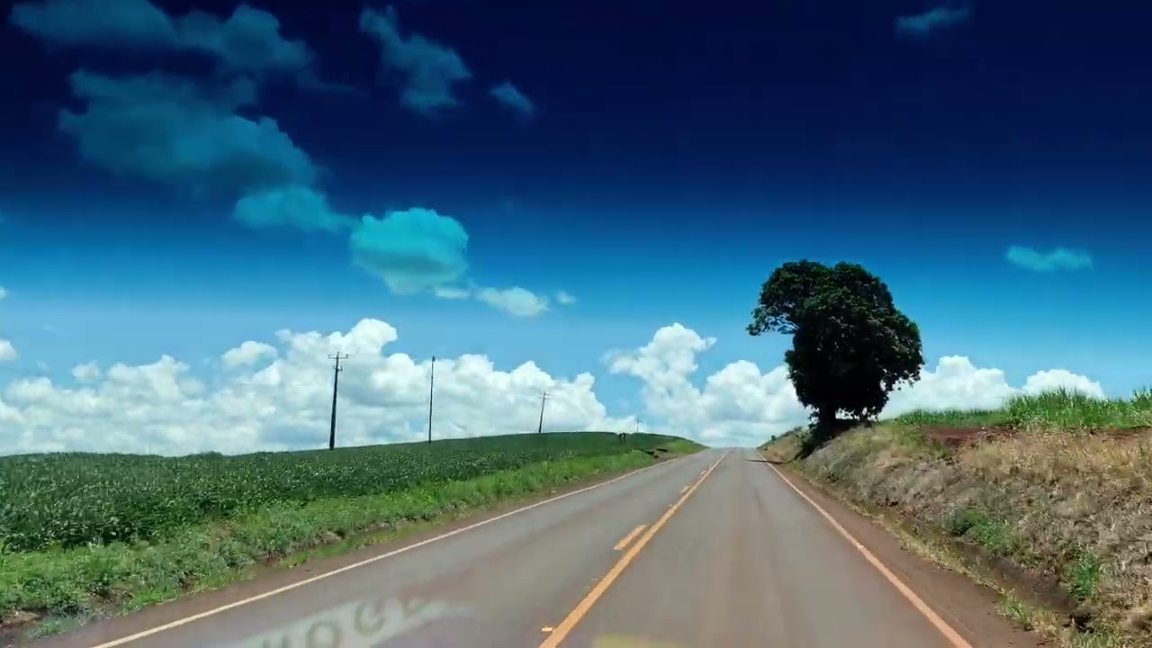 BORA TIRAR UM BODE
