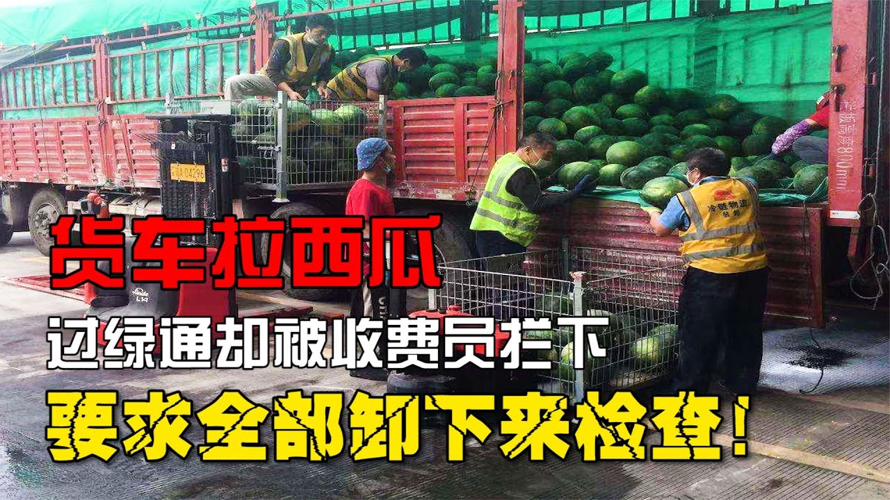 貨車拉西瓜過綠通，被收費員要求全部卸下來檢查，司機：憑什么！ #民生節目 #新聞 #小莉幫忙 #小說 #公益