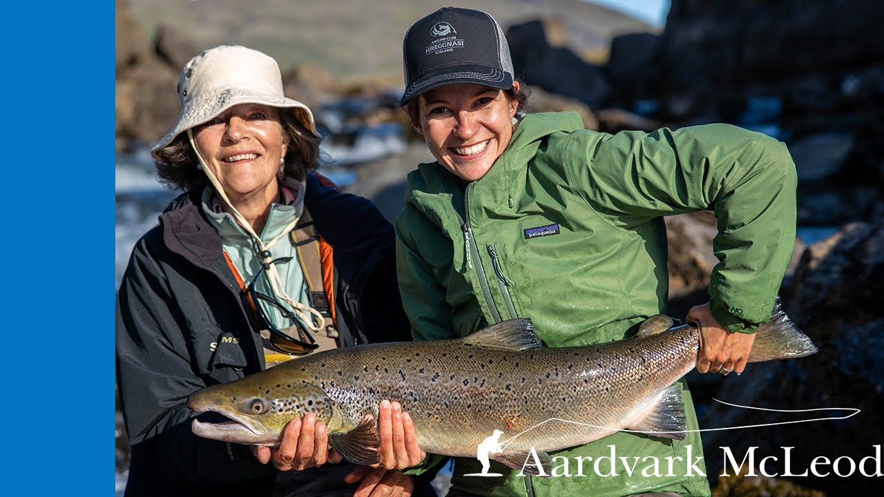 A Salmon Tale - Fly Fishing On Laxa I Kjos In Iceland