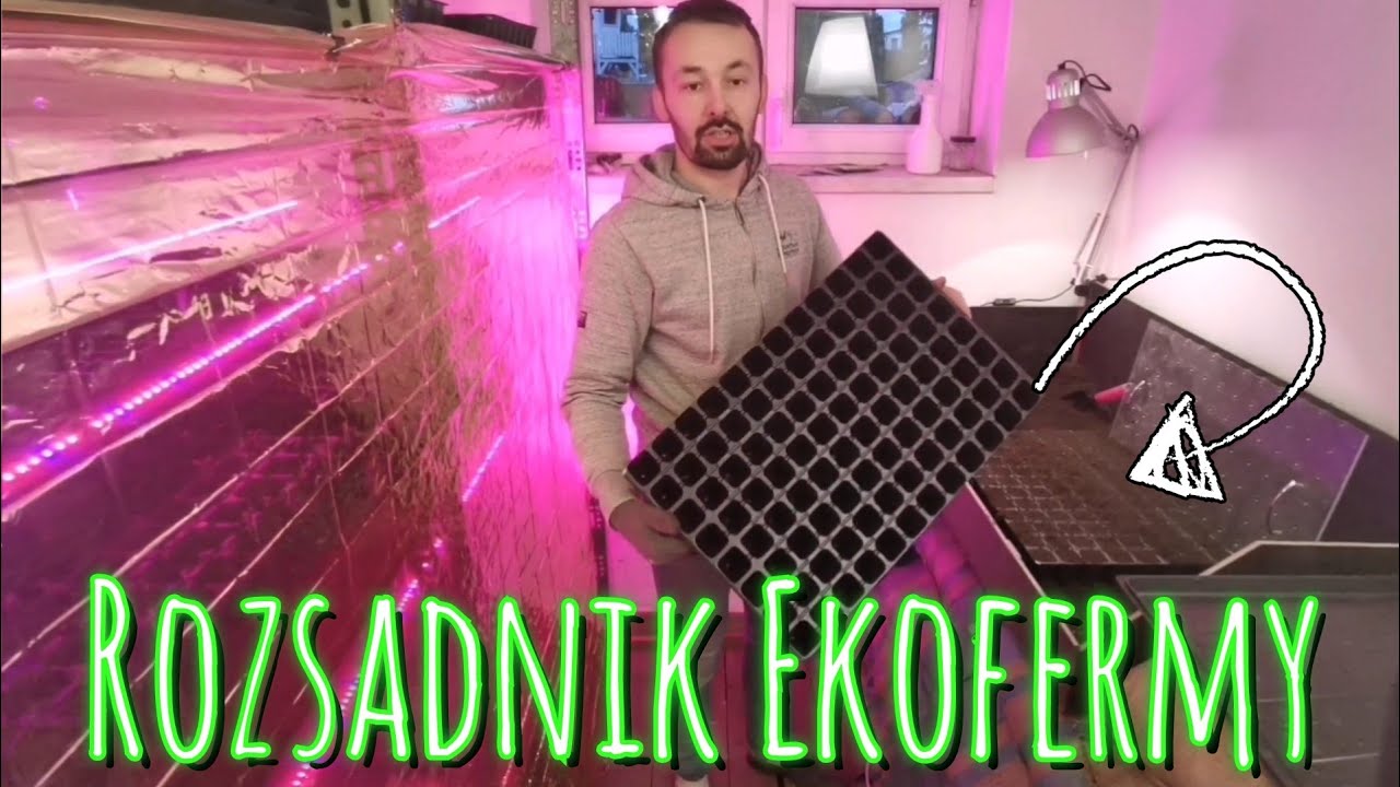 Wiosenny rozsadnik Ekofermy - siejemy pierwsze warzywa!