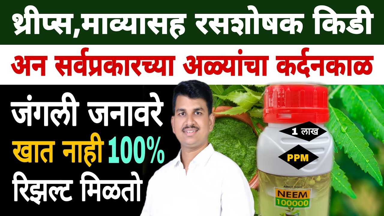 नीम ऑइल एक फायदे अनेक | उत्पादन खर्च कमी करते उत्पन्न वाढवते | Dnyaneshwar Kharat Patil