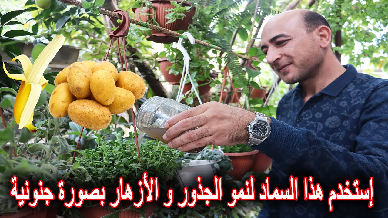 سماد منزلي غني بالبوتاسيوم و الفسفور لنمو زهري و جذري رهيب