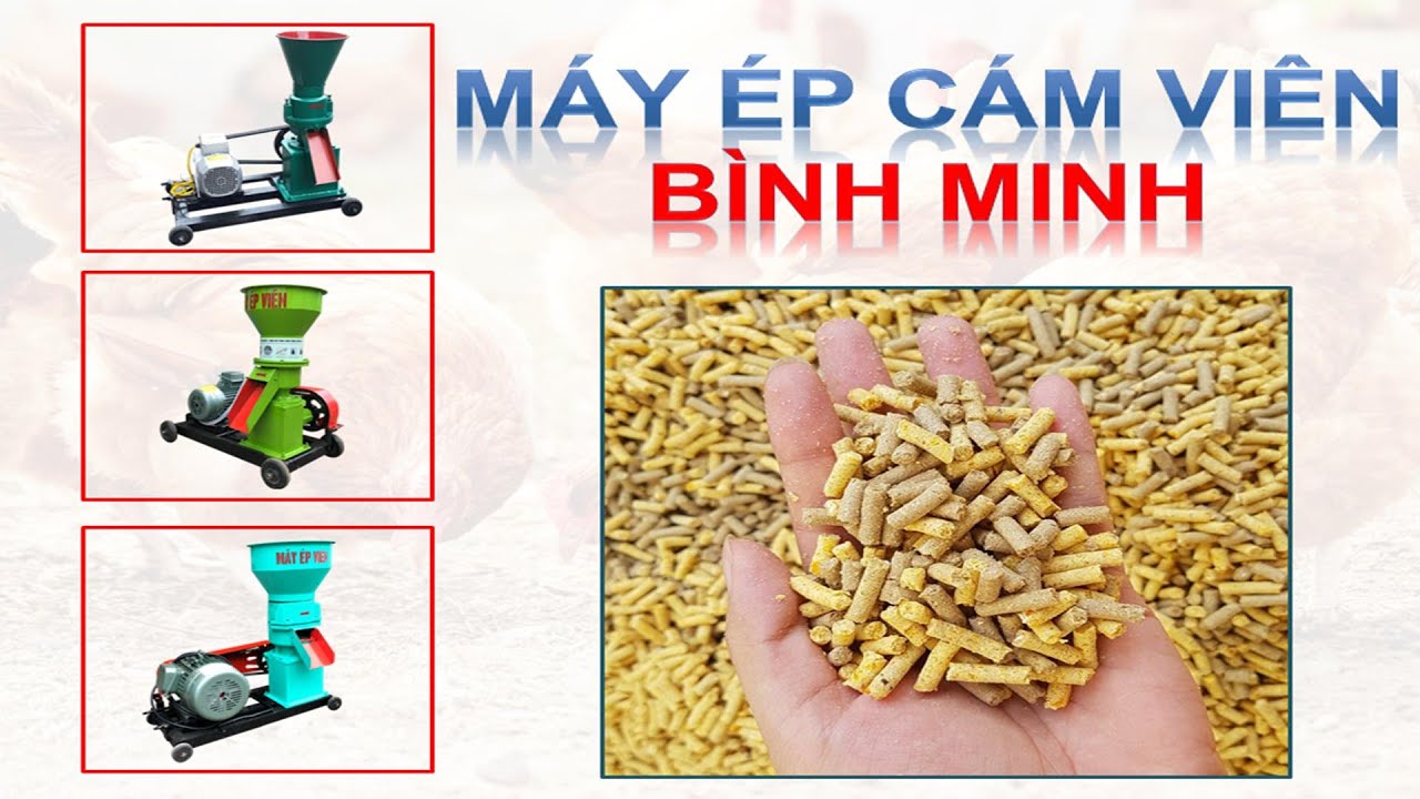 [Top] Máy ép cám viên tốt nhất trên thị trường hiện nay. Hình ảnh thực videos thực tế.