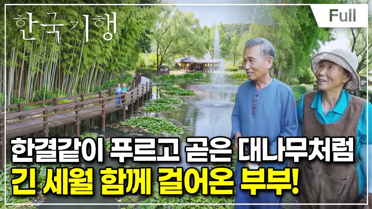 [Full] 한국기행 - 나무야 나무야 5부 담양에 가면