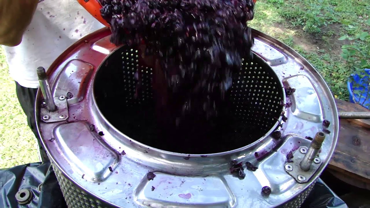 Como hacer vino casero 3&deg; paso. Prensado del mosto / uva