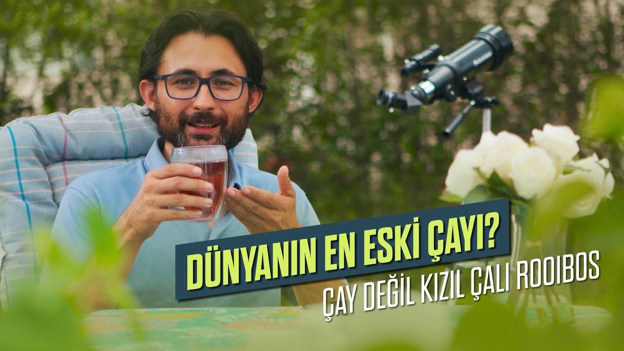 D&uuml;nyanın en eski &ccedil;ayı? &Ccedil;ay değil kızıl &ccedil;alı rooibos