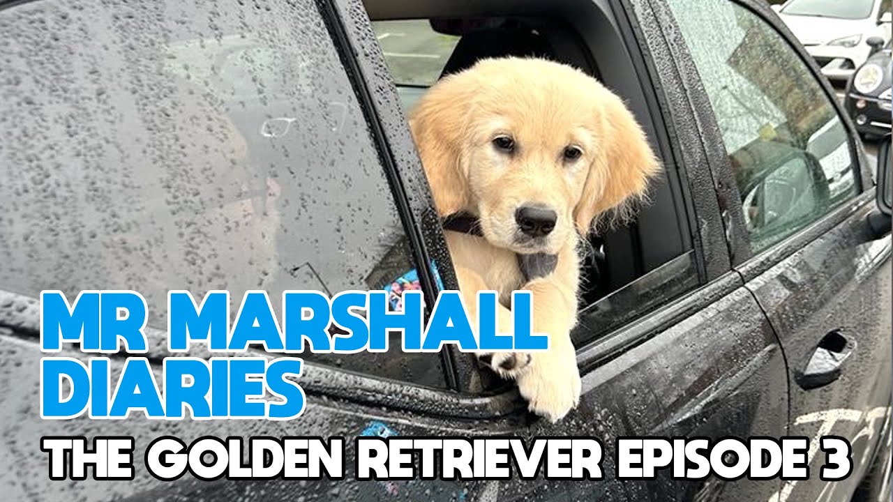 Mr Marshall Diaries Ep 3 || Second Jab and Doing the Poo Poo Dance