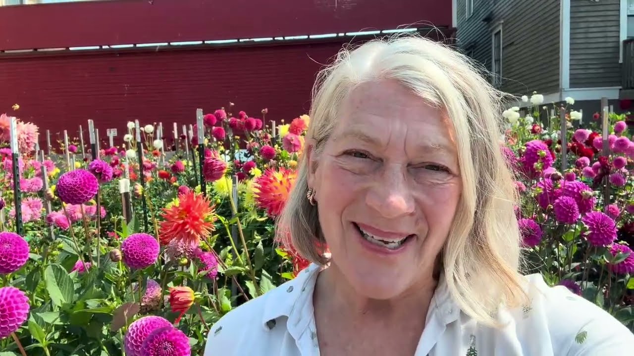 Another Dahlia Tour!