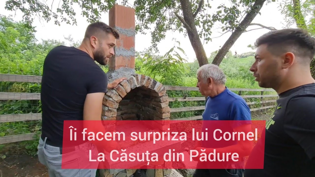 ÎI FAC CU TIBERIU O SURPRIZA LUI CORNEL LA CASUTA DIN PADURE ⚡Ionut Ghita