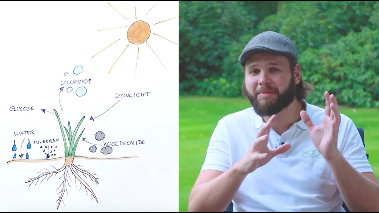 Het Gazon Bemesten: Welke Meststof Wanneer? | MOOWY Tips & Tricks