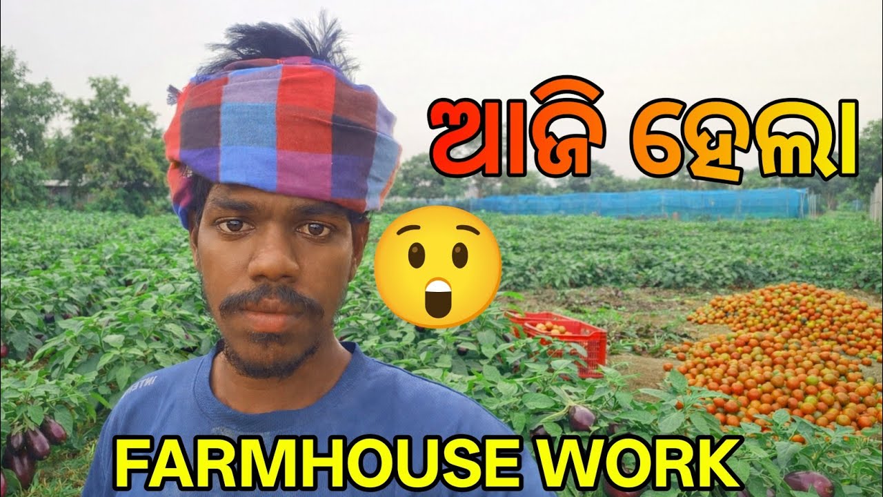 ଆଜି ମୋର FARMHOUSE ରେ ପ୍ରଥମ ଦିନ କାମ Day-1 Farmhouse Working | Jata Vlogs/jata Bhai vlogs /jota bhai