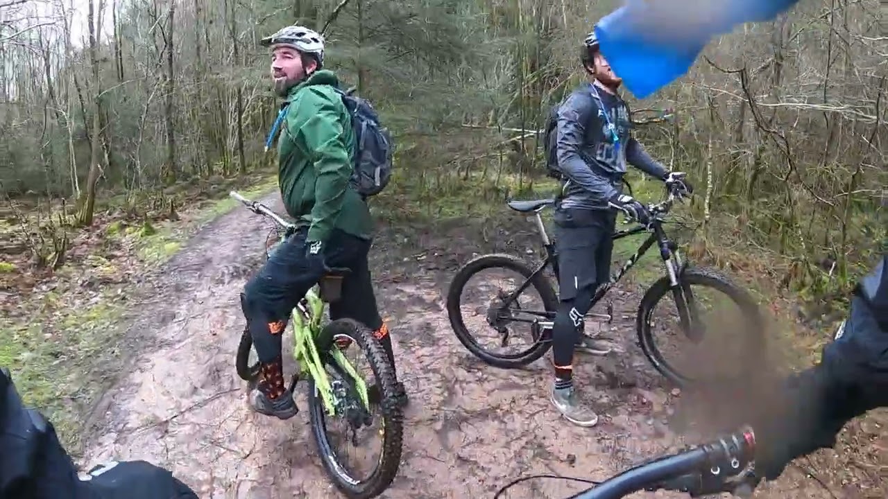 Dalbeattie Forest and Glentress Forest