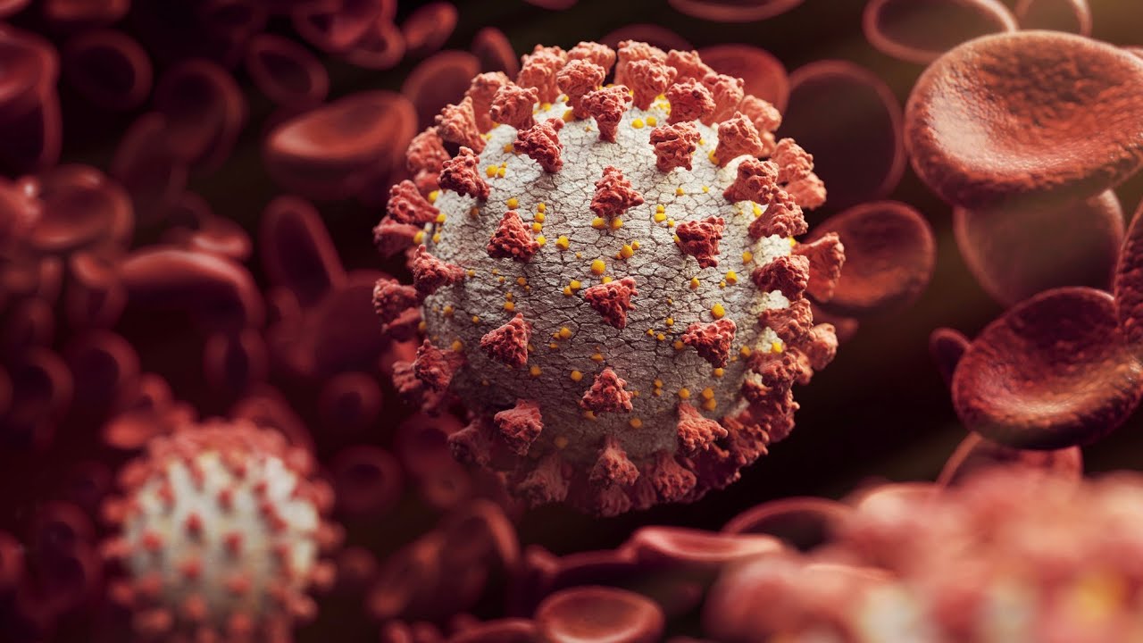 Coronavirus update: 77,300 cases recorded in 24 hours