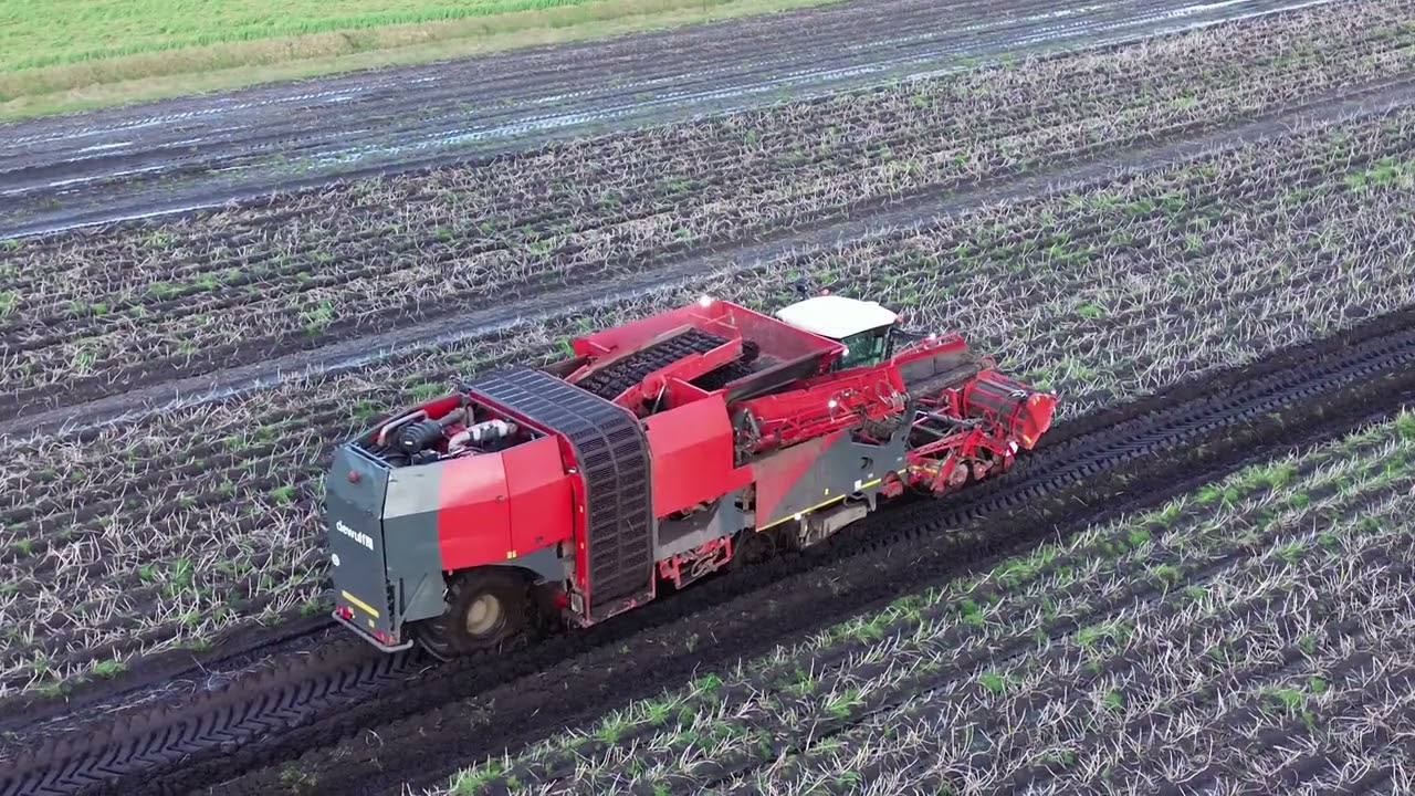Aardappels rooien onder extreme omstandigheden oude Pekela met De Wulf Kwatro 4 rijen Oost Groningen