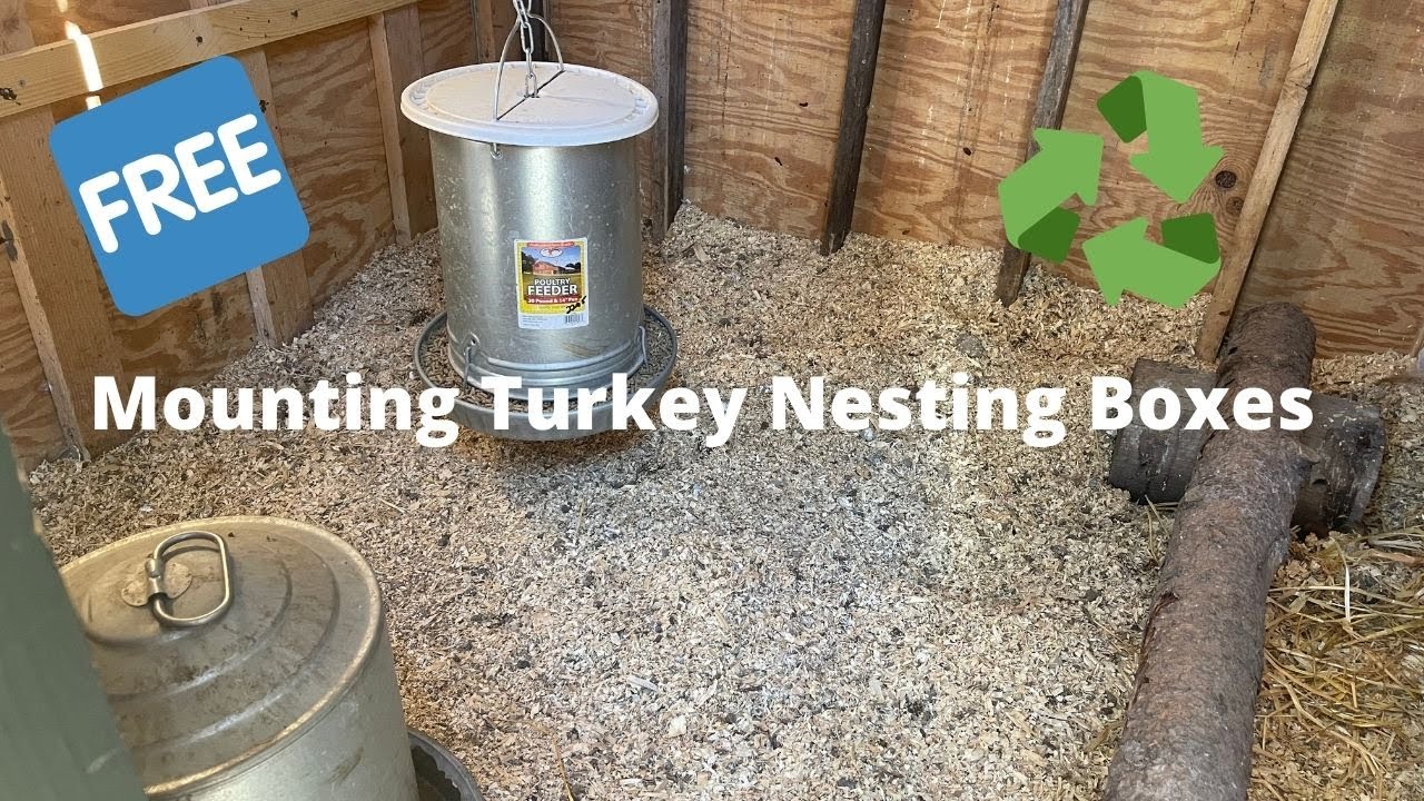 Part 2: Mounting DIY Turkey Nesting Boxes #free #diy #homesteading #yogihollowfarm