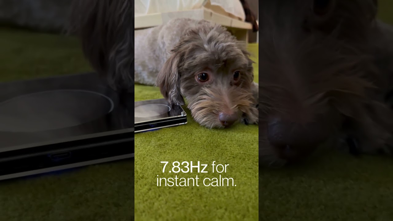 Pablo Knows: 7.83Hz for Instant Calm