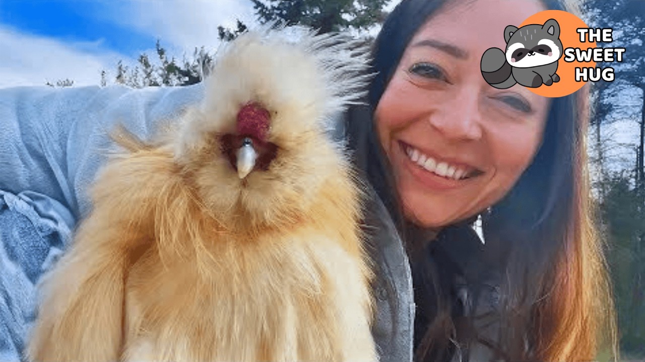 My Chicken Thinks He’s a Dog… And Wait Until You See What He Does