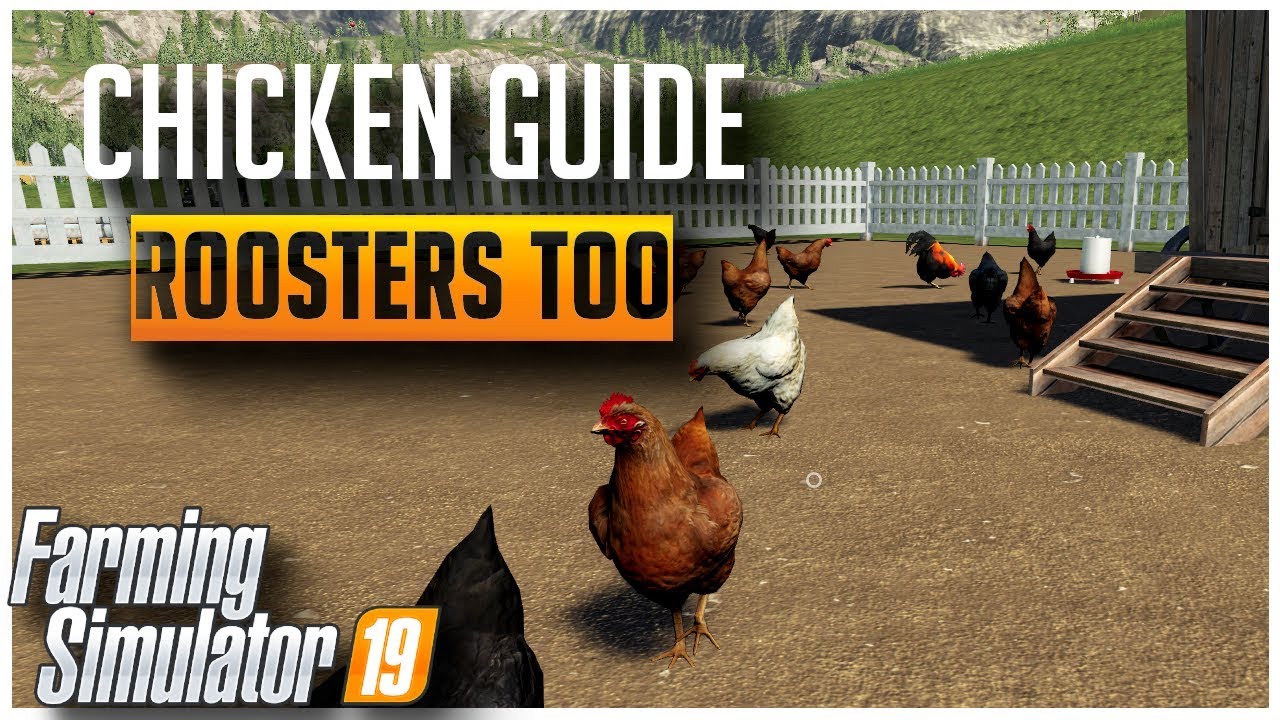 Ultimate Guide to Chickens and Roosters | Farming Simulator 2019