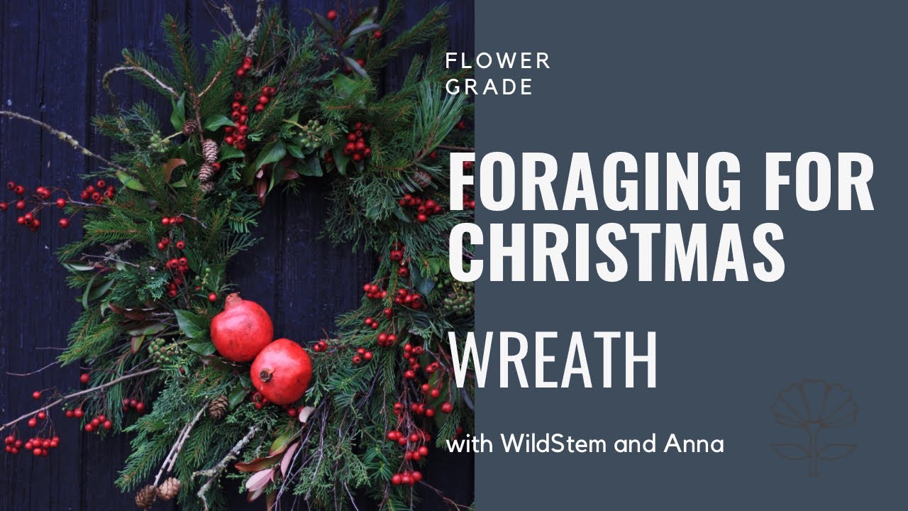 Christmas wreath foraging kit