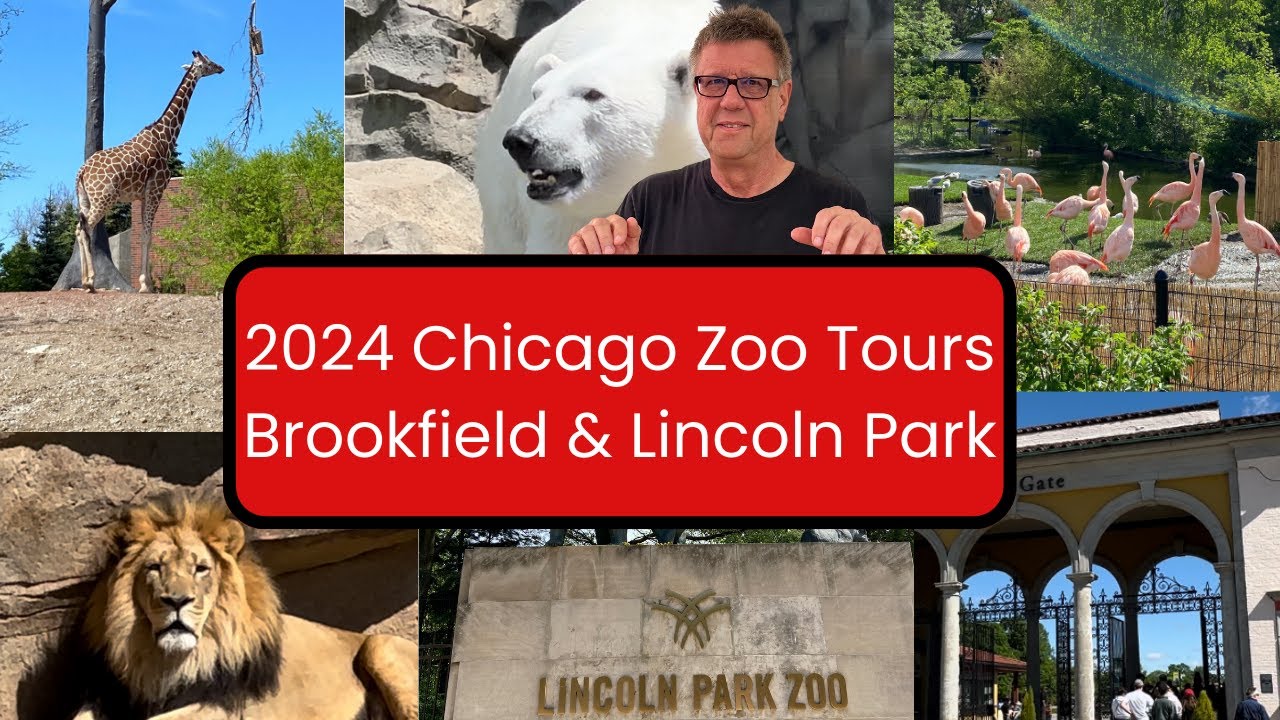 2024 Chicago Zoo Tours: Brookfield Zoo & Lincoln Park Zoo!