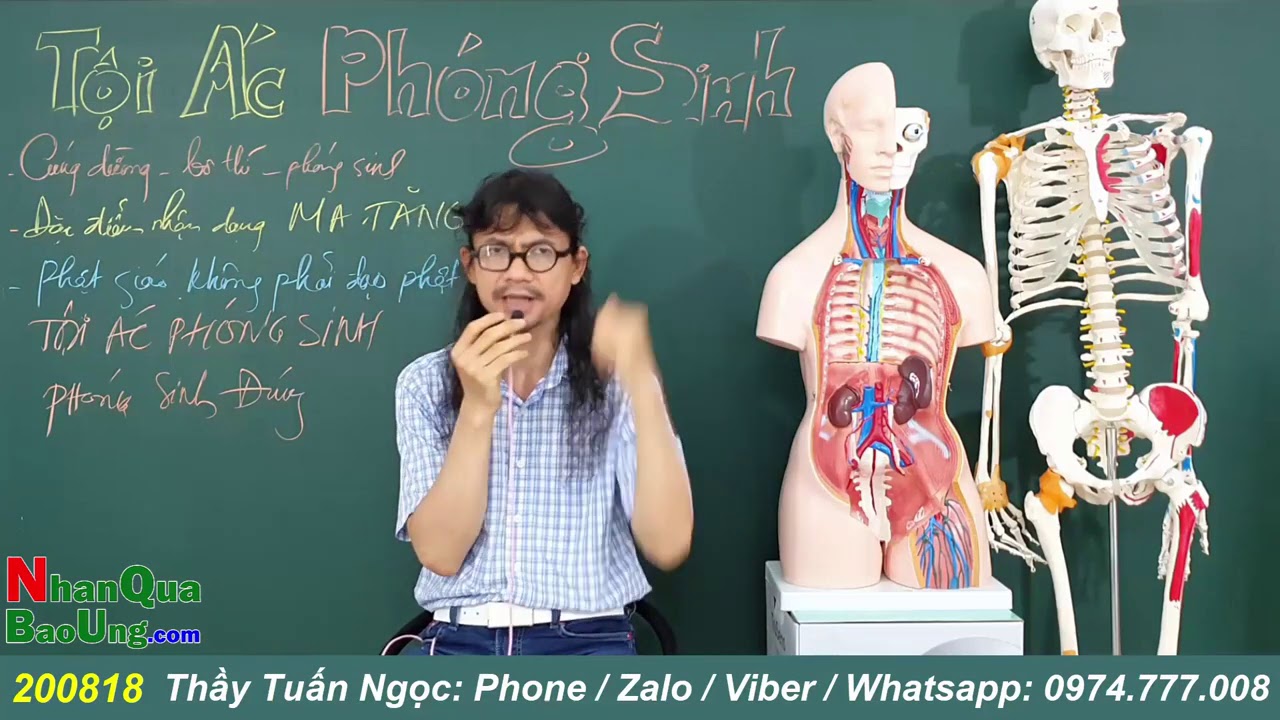 995. TỘI &Aacute;C của việc PH&Oacute;NG SINH - NH&Acirc;N QUẢ B&Aacute;O ỨNG