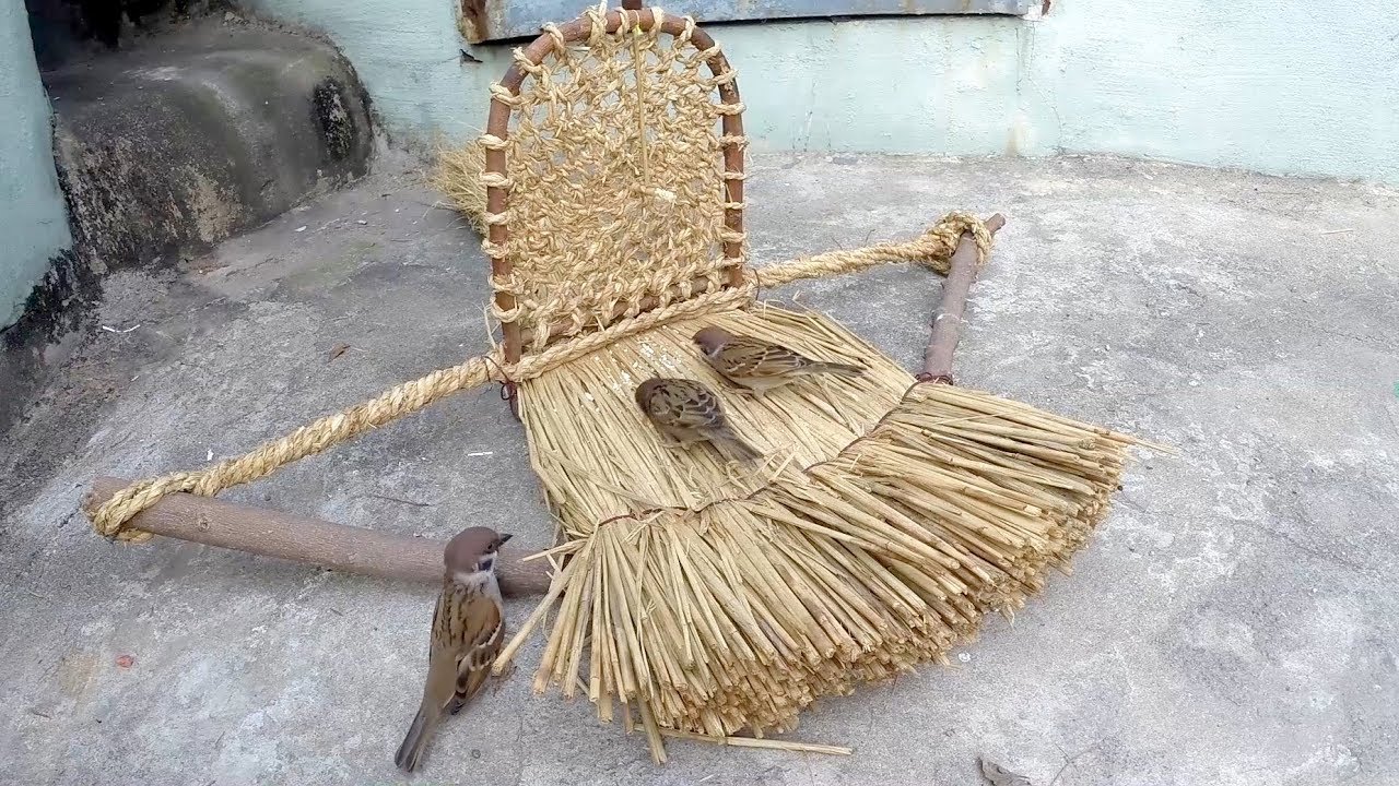 Survival bird trap