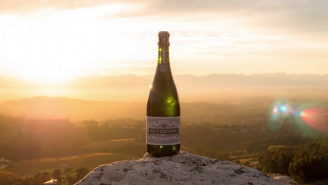 Constantia Wine Route