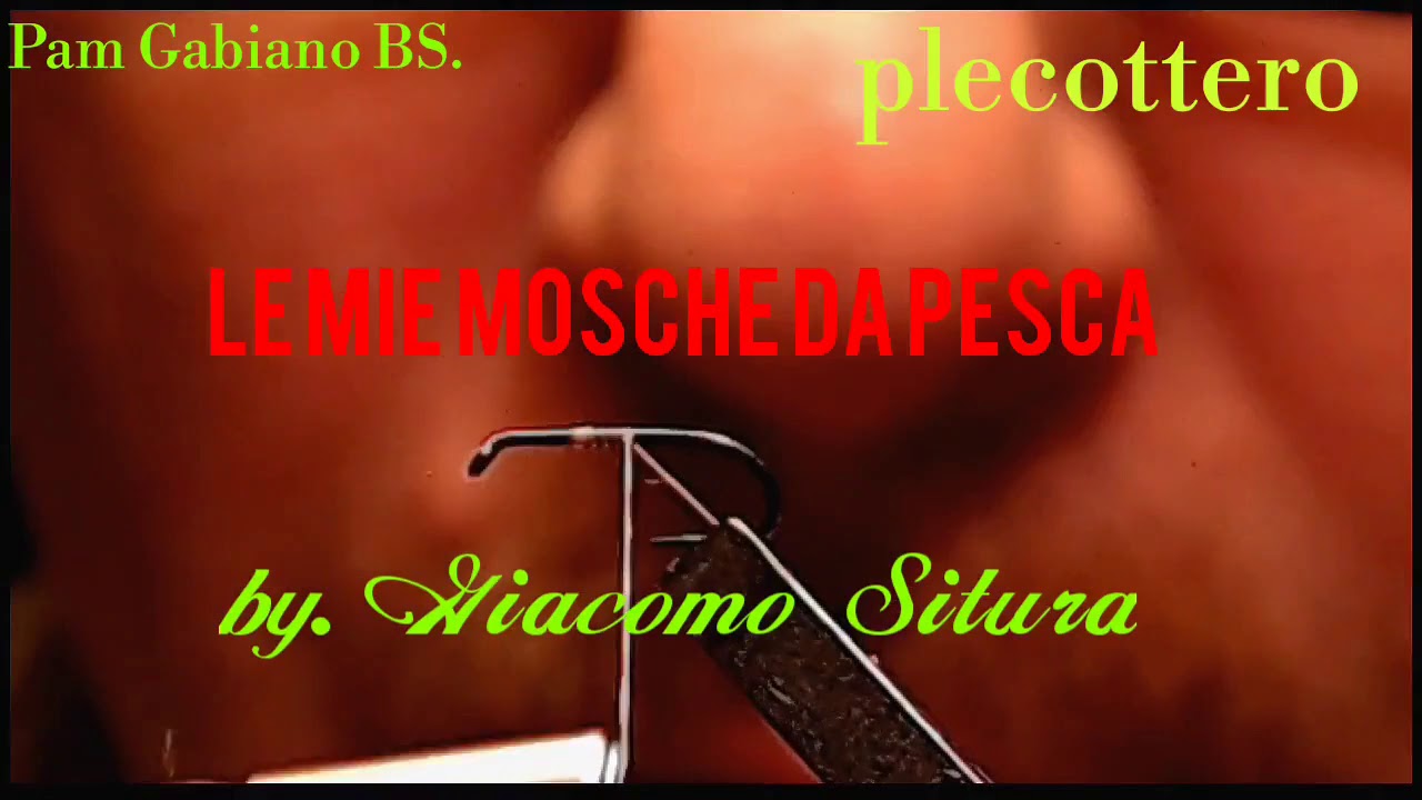 PLECOTTERO GIACOMO situra