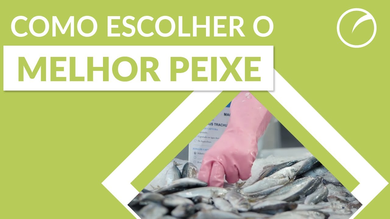 Como escolher o melhor peixe?