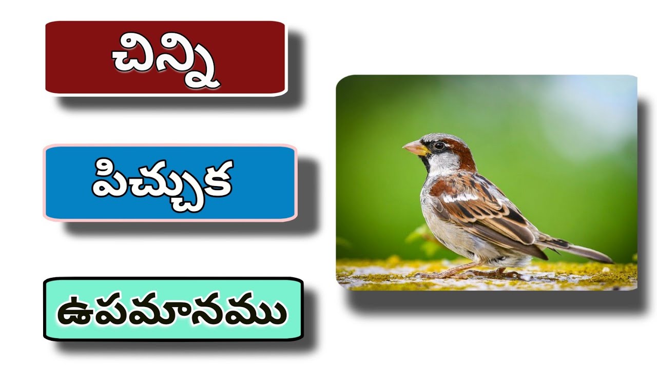 Telugu bible upamanalu / # 23 Moral Stories for kids