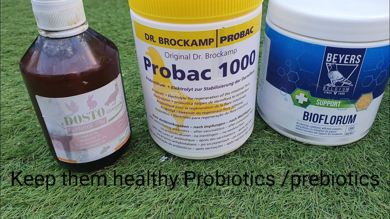 Use Probiotic/Prebiotics to Help Restore Gut flora