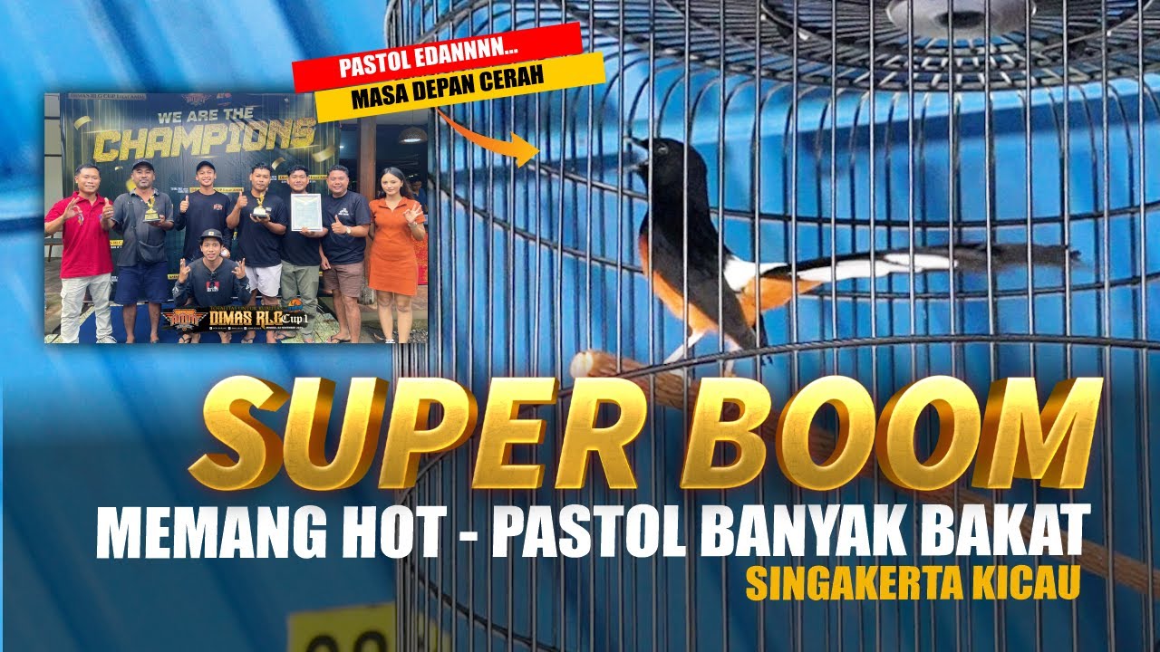 PASTOL Super🔥 Murai Batu SUPER BOOM Masa Depan Cerah