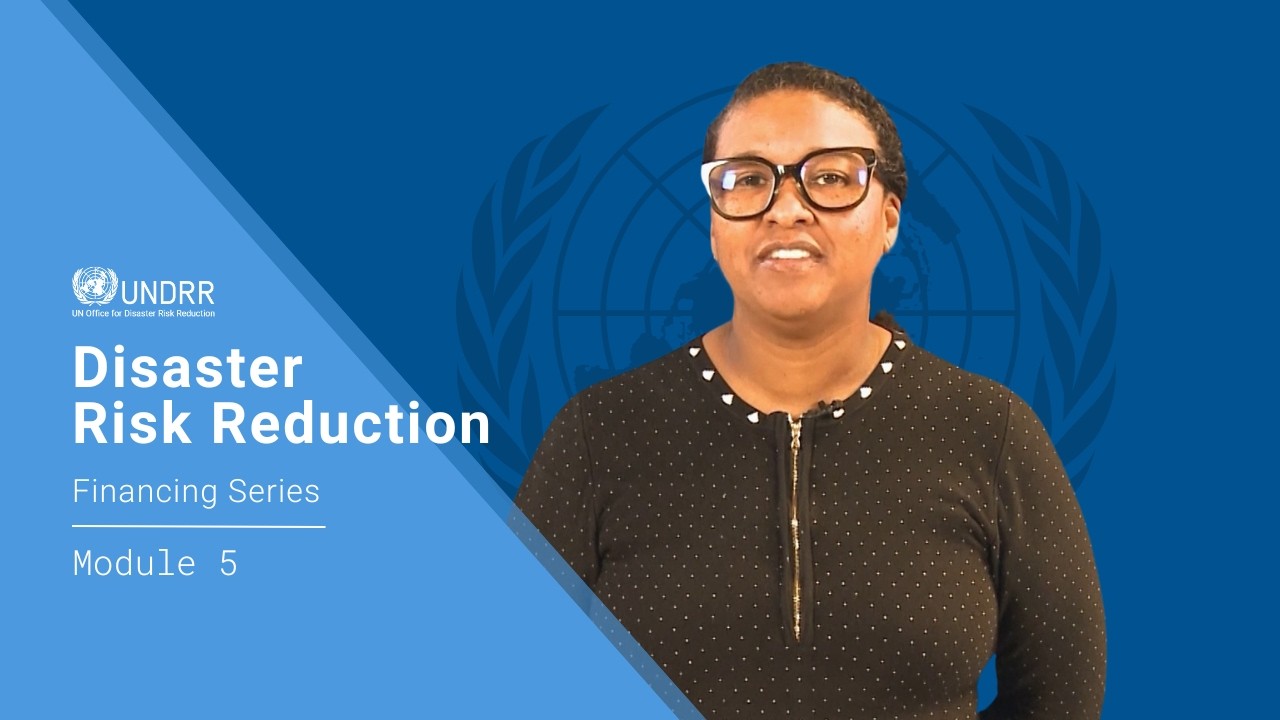 Модуль 5: Как разработать национальную стратегию финансирования мер по снижению риска стихийных б...