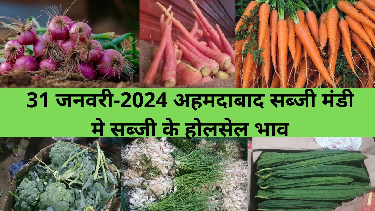 Ahmedabad wholesale vegetable market | 31 January 2024 | अहमदाबाद सब्जी मंडी मे सब्जी के भाऊ..