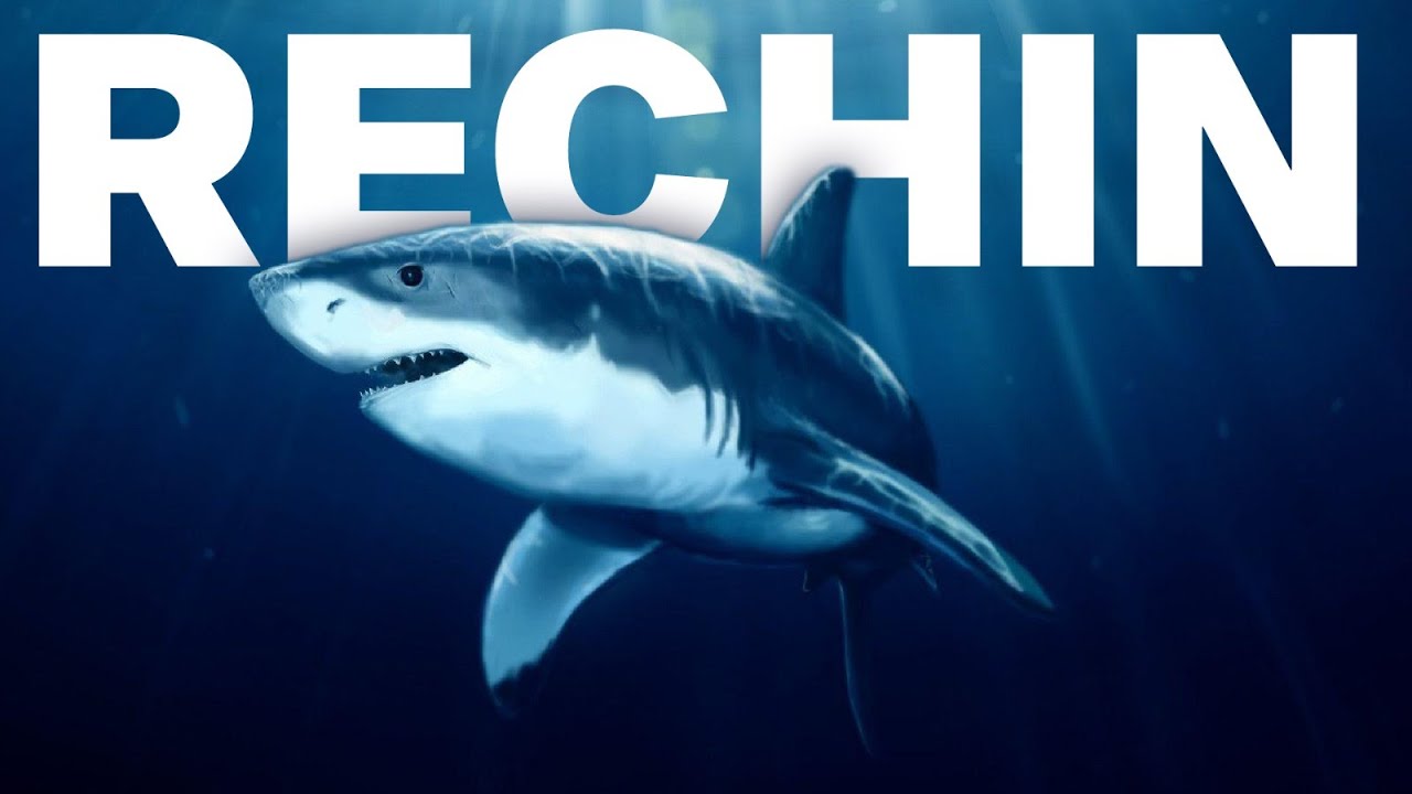 50 Lucruri Inutile Despre Rechini
