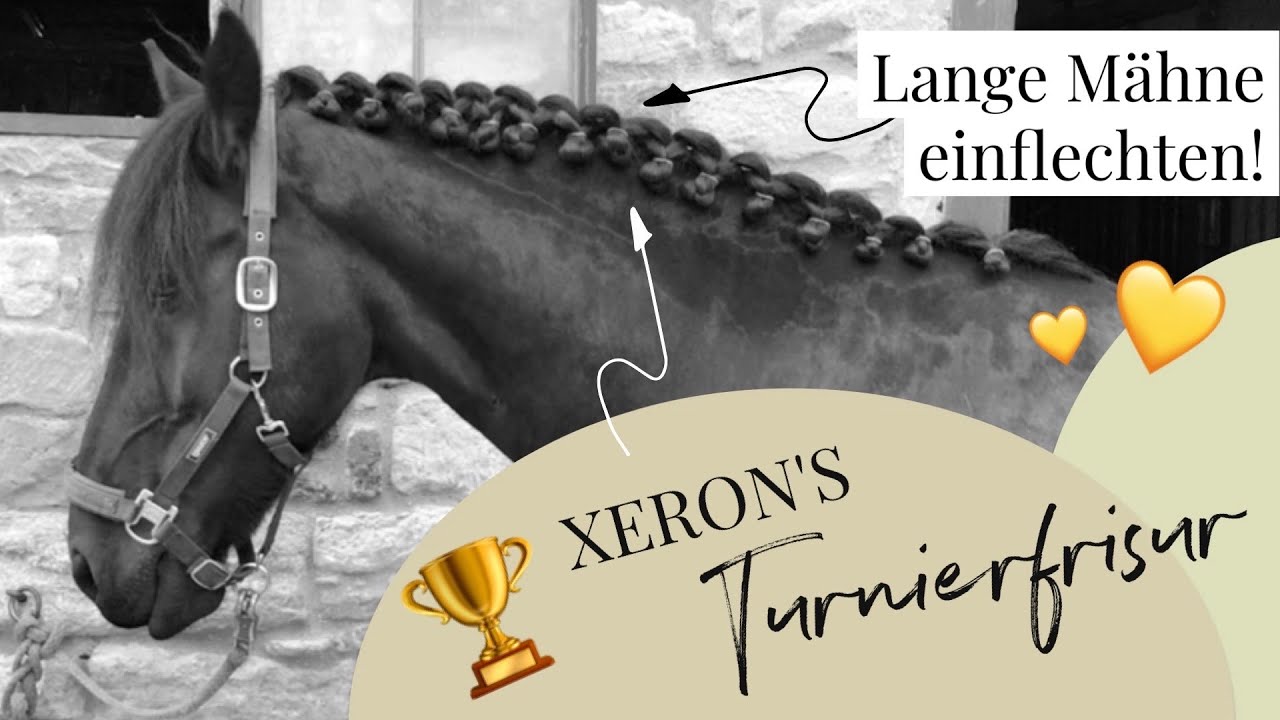 LANGE MÄHNE einflechten | Xerons Turnier-Frisur | TUTORIAL | Pferde Frisuren | Julia's ReiterBlog