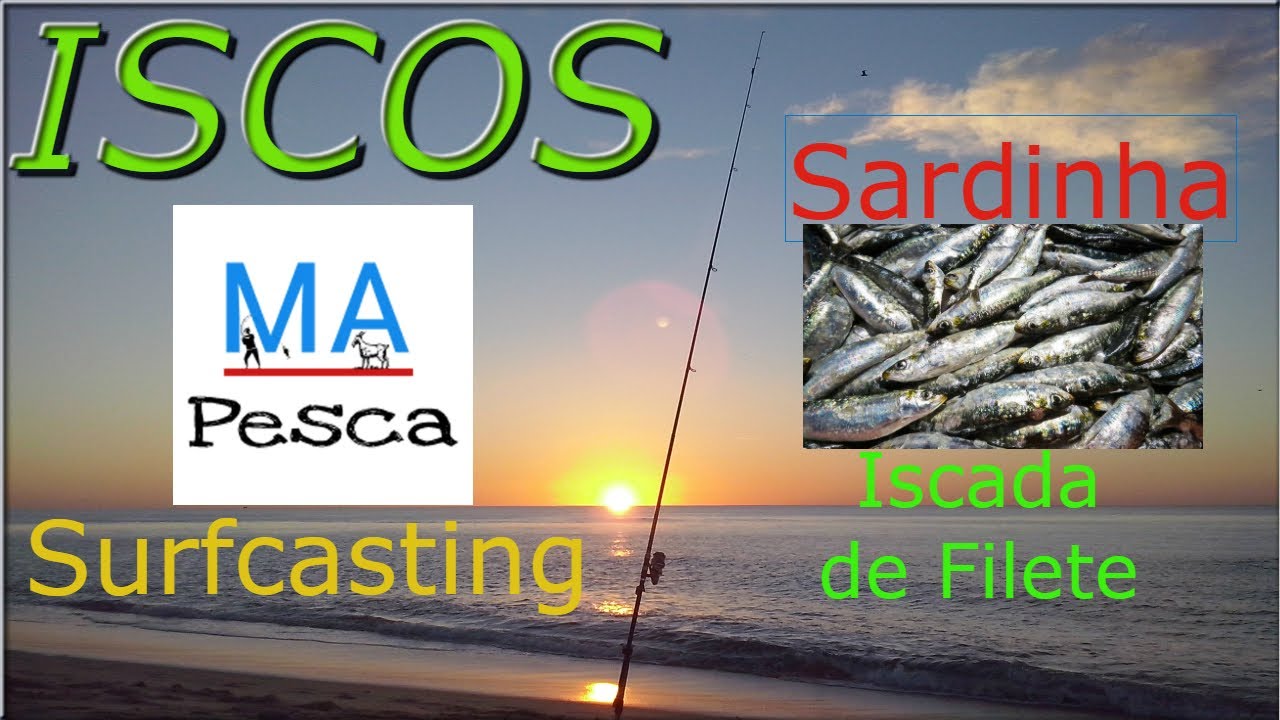 Como iscar Sardinha 2 (Filete em 2 anzóis tandem) -  cebar filete sardina - surfcasting