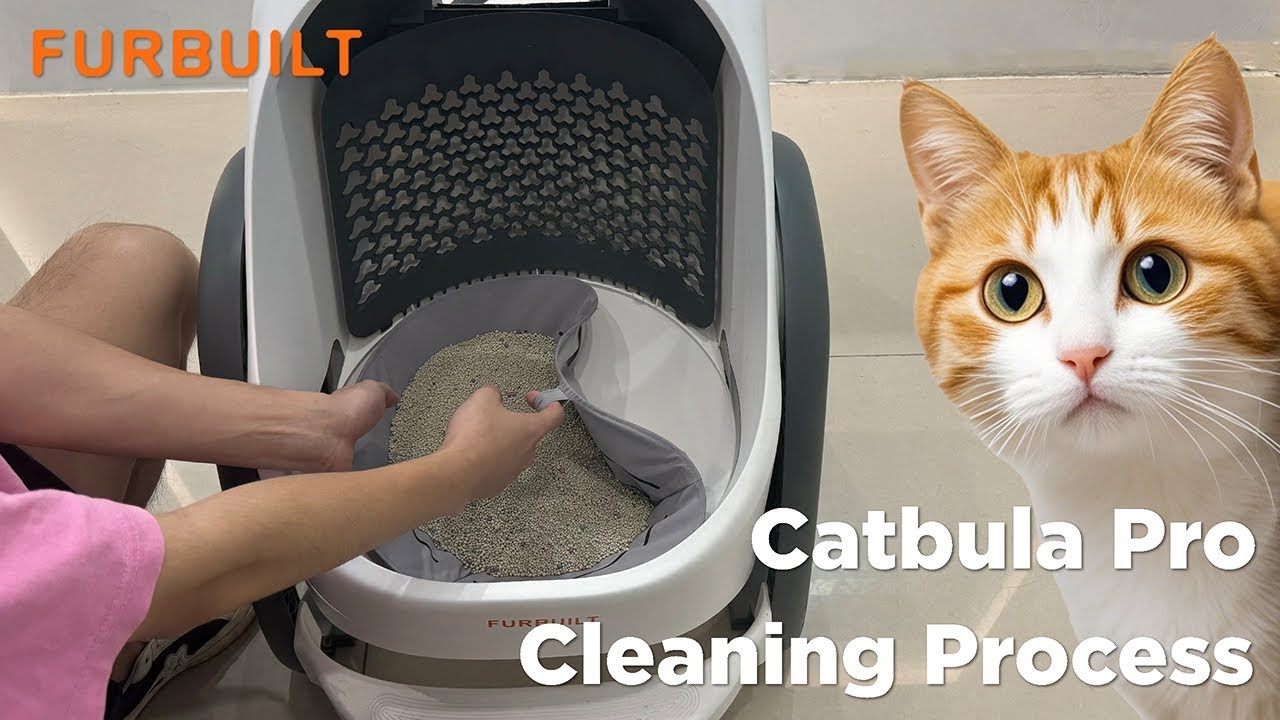 How to Clean Your Catbula Pro: A Step-by-Step Guide