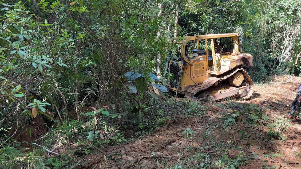 Bulldozer D6R XL Mountain Road Project in Action