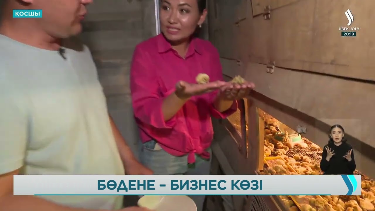 Астаналық кәсіпкер бөдене құсын бизнес көзіне айналдырып отыр