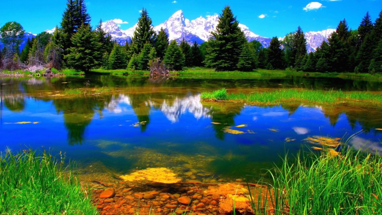 Landscape River Nature 4K Live Wallpaper
