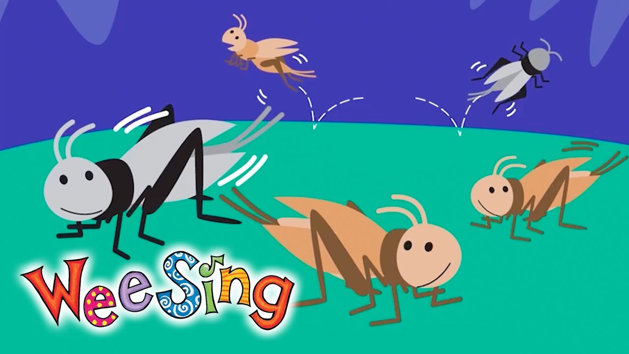 Wee Sing & Learn Bugs | Full Book | Wee Sing