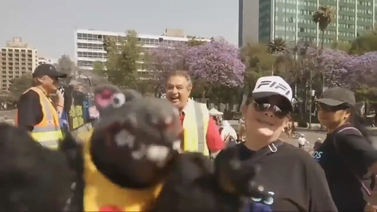 Ej&eacute;rcito Peludito y Cerdonio Fif&iacute; (Video del recuerdo)