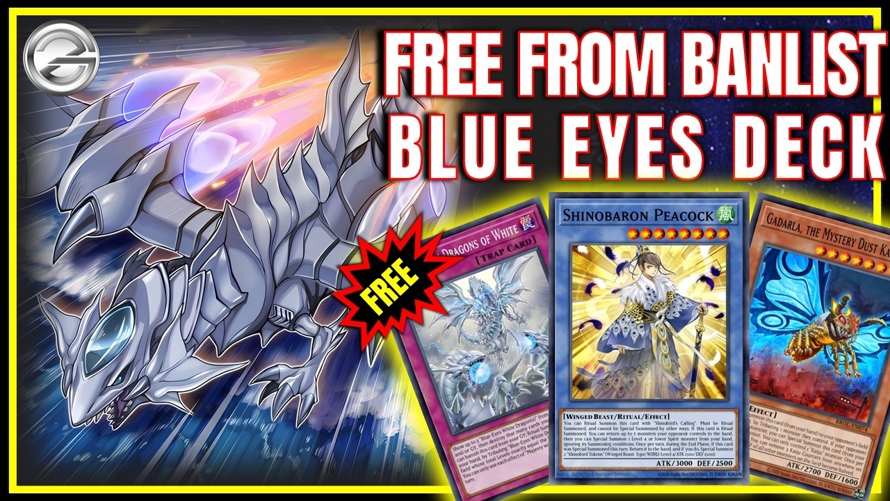 After the Banlist! Blue-Eyes Deck with Majesty and Dragon Spirit of White Returns Stronger