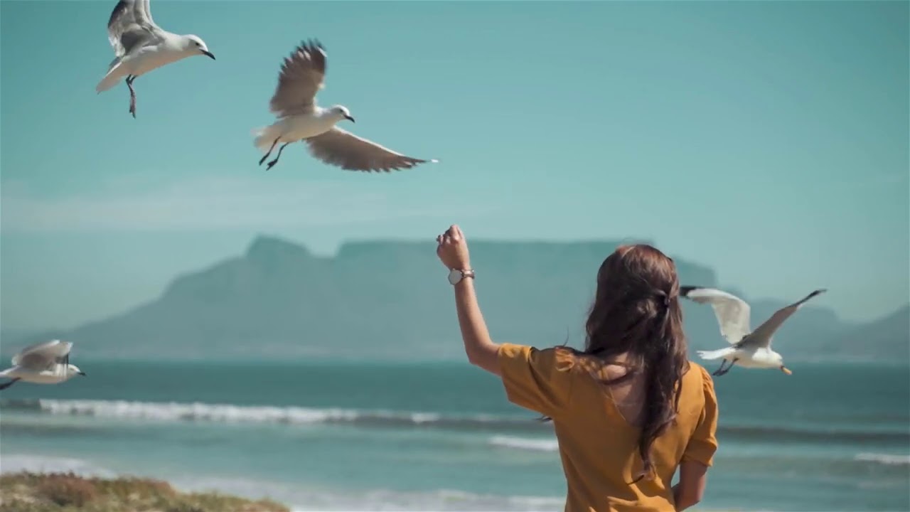 MerOne Music Ft Taoufik Music - Make Me Fly