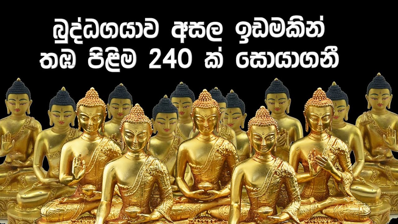ඉන්දියාවේ බුදුන් සොයමු | Buddha Gaya research