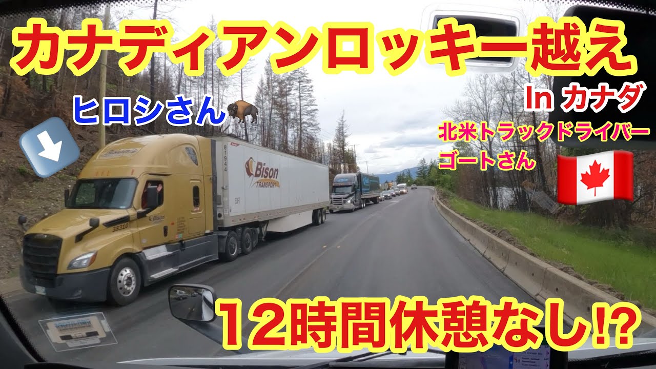 【#185】夏のロッキー山脈越えin カナダ🚚　12時間休憩なし！！　ヒロシさん発見🦬！　北米長距離トラックドライバー(ゴート)