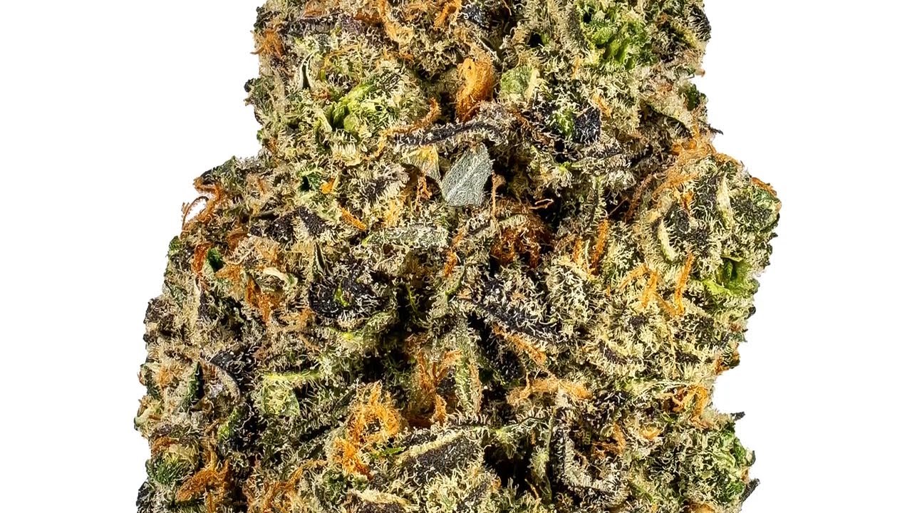 Platinum Blue Dream | Strain Review